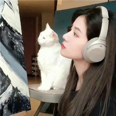 鲜血的午后